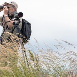 กล้องส่องทางไกล