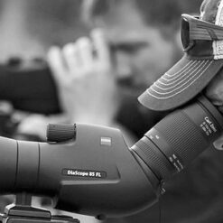 กล้องตาเดียว