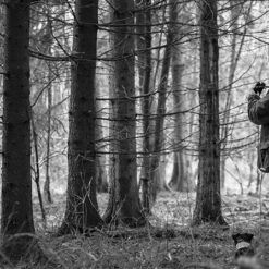 กล้องไรเฟิลสโคป