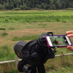 อุปกรณ์ดิจิสโคป