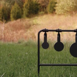 เป้าปืน