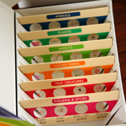 Alternative view of Learning Resources, Prepared Slides Set II