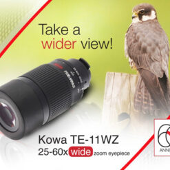 Alternative view of เลนส์ตา Kowa 25-60x รุ่น TE-11WZ