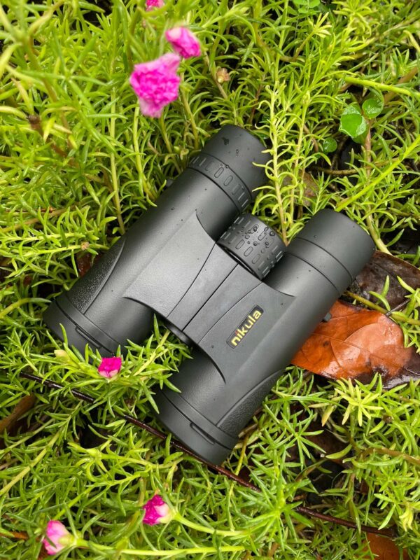 Outdoor Vision
