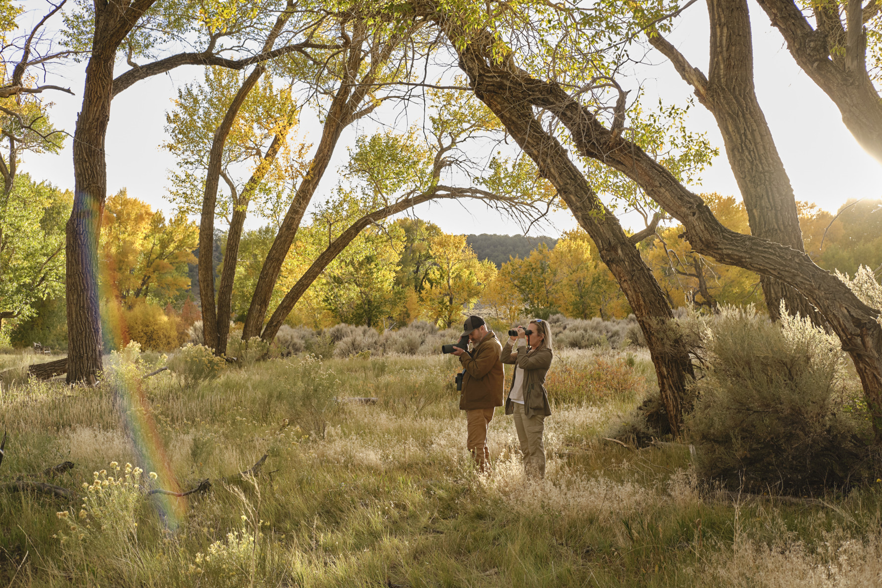 สโคปตาเดียว Swarovski AT Balance 18-45x65 Green - Image 8