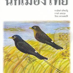 สินค้าอื่นๆ