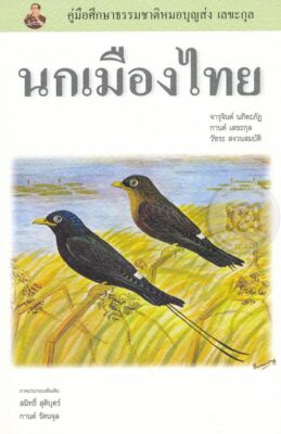 สินค้าอื่นๆ