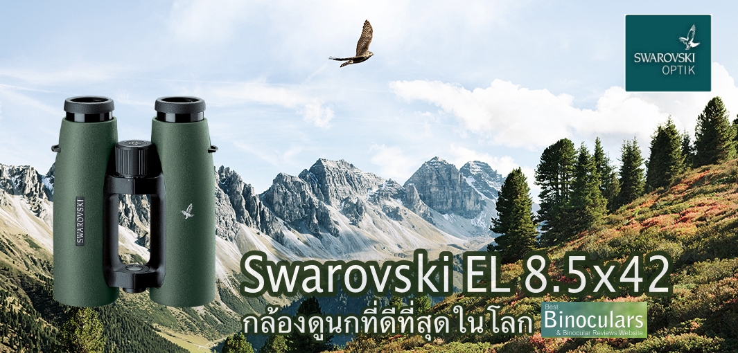 Swarovski