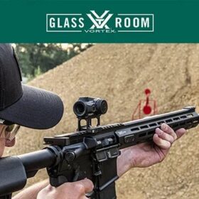 AR optic budget